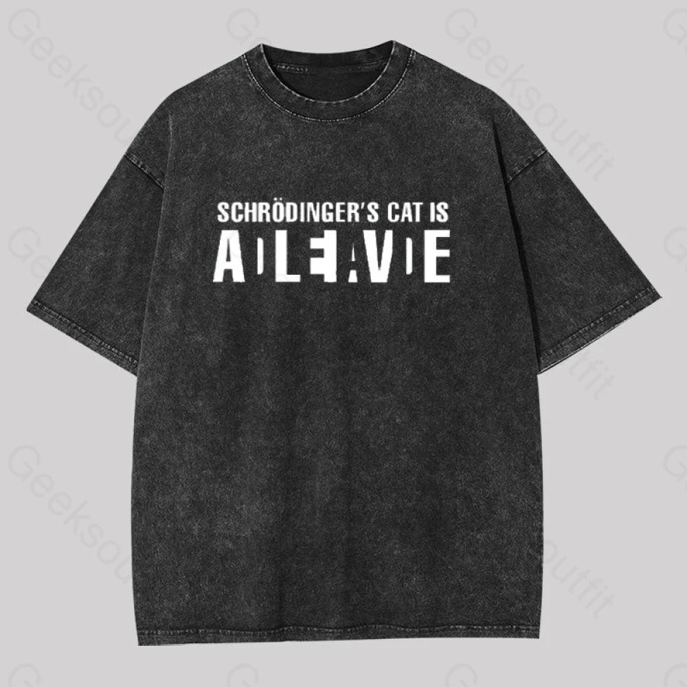 Schr?dinger's Cat ADLEIAVDE Washed T-shirt